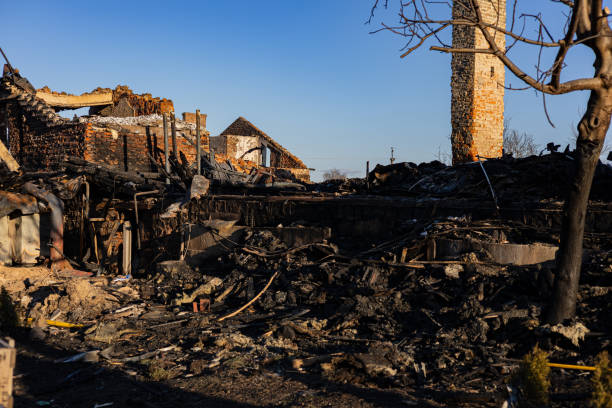 Reliable Content Restoration contractor in Annandale, VA by Fire Damage Doption